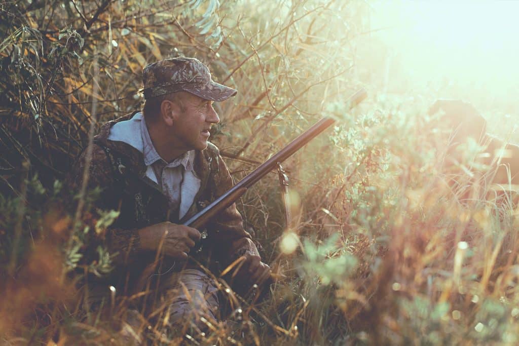 locatia-perfecta-pentru-vanatoare-in-baile-felix